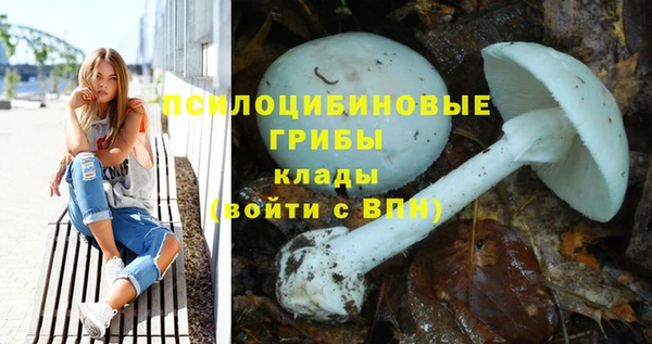 ALPHA PVP Верхнеуральск