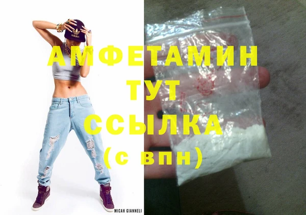 мдпв Бородино
